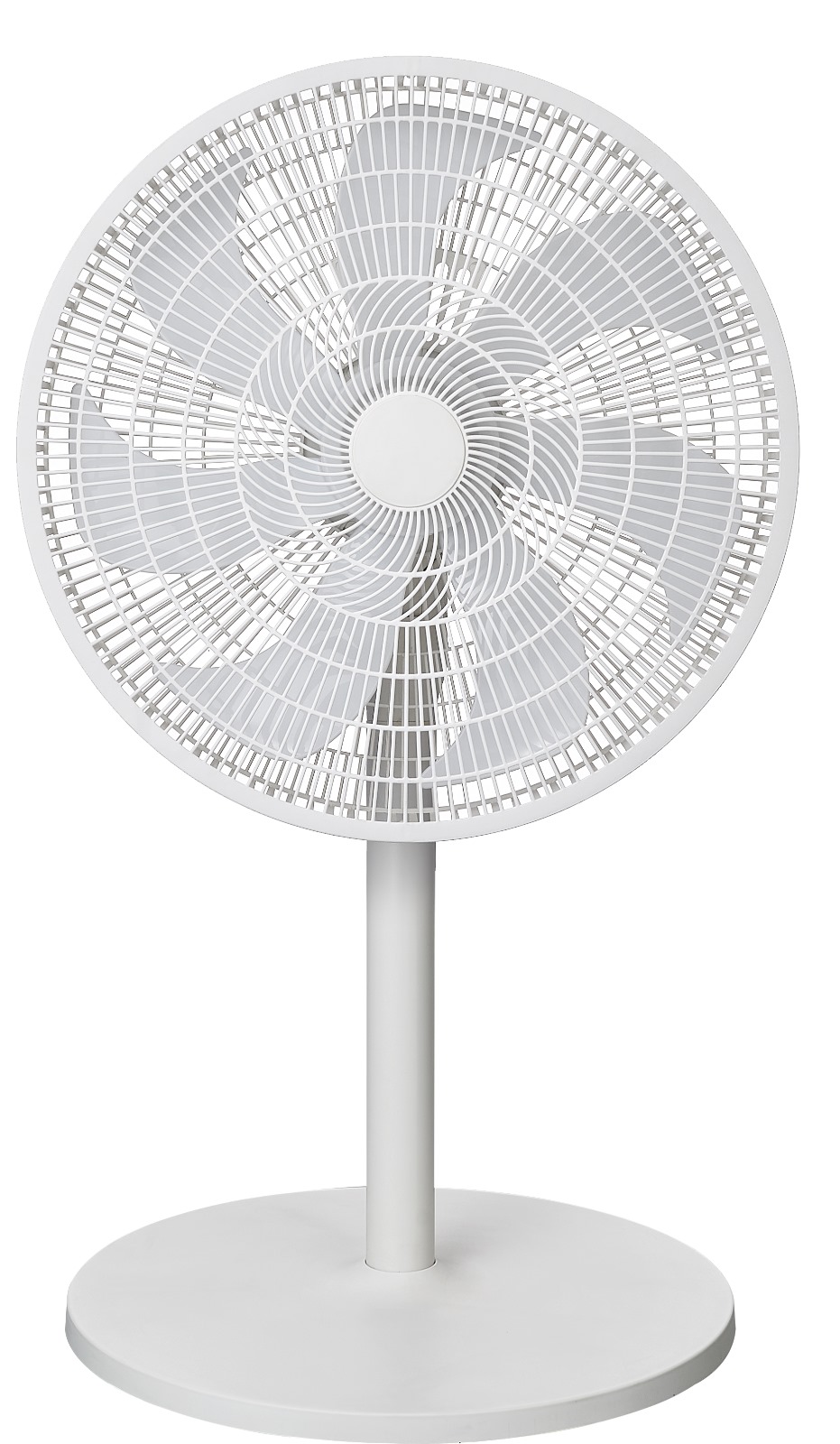 CW-385.jpg